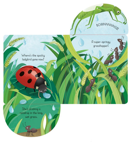 Usborne - Little Lift and Look Bugs