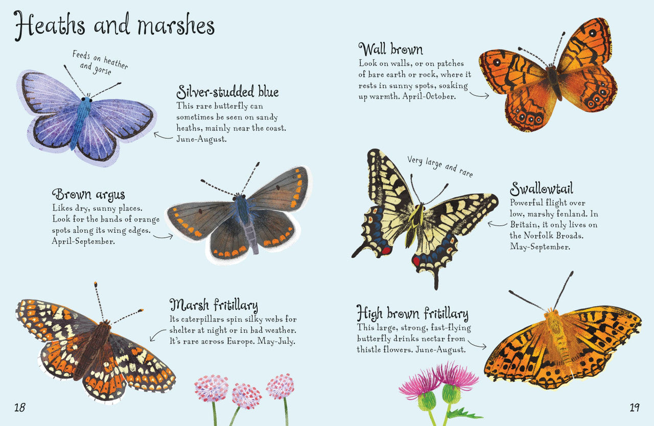 Usborne - Mini Books - Butterflies to Spot