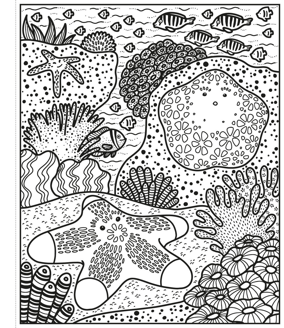 Usborne - Coral Reef Magic Painting Book