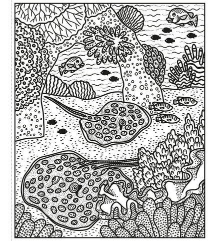 Usborne - Coral Reef Magic Painting Book