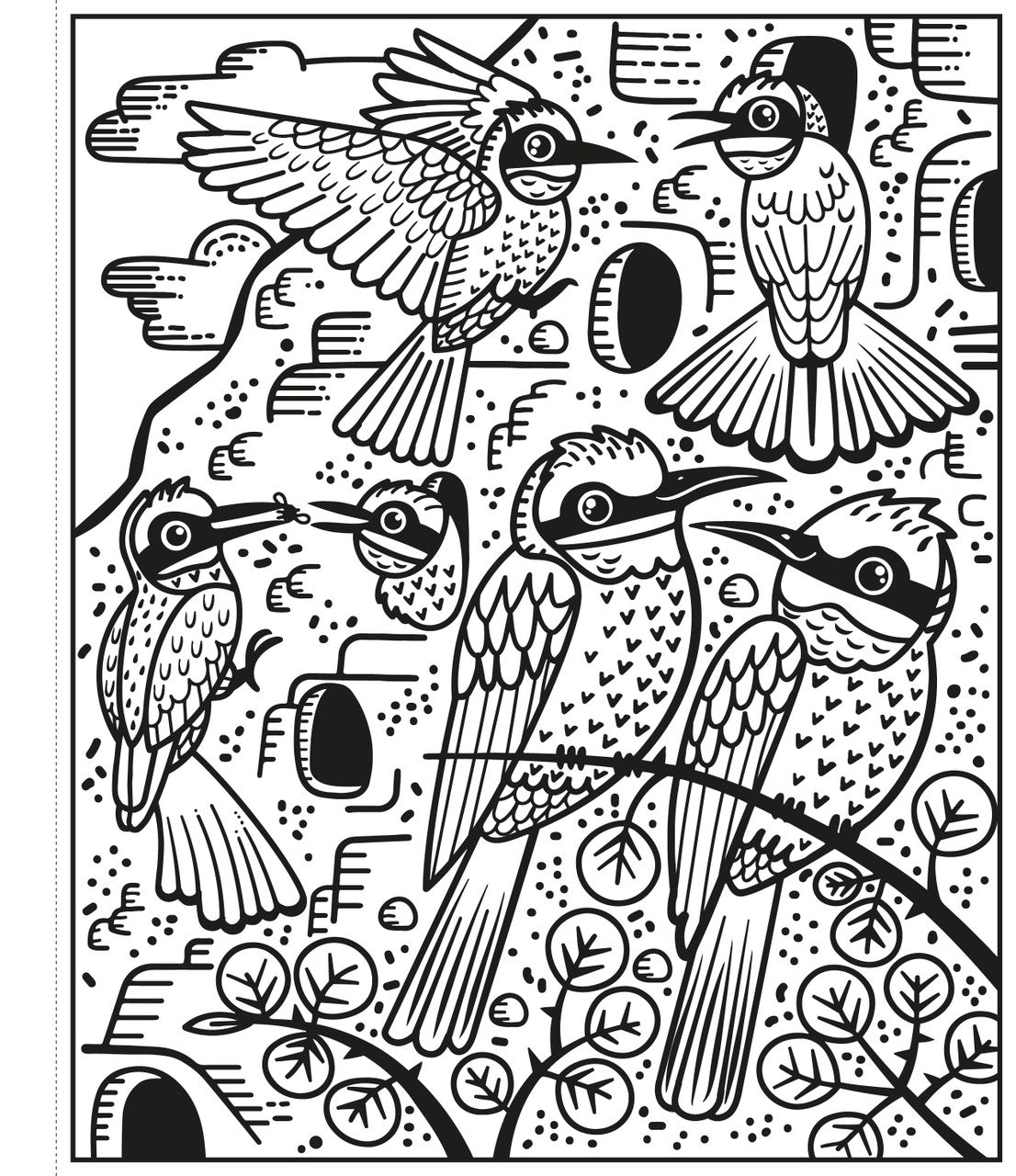 Usborne - Birds Magic Painting Book