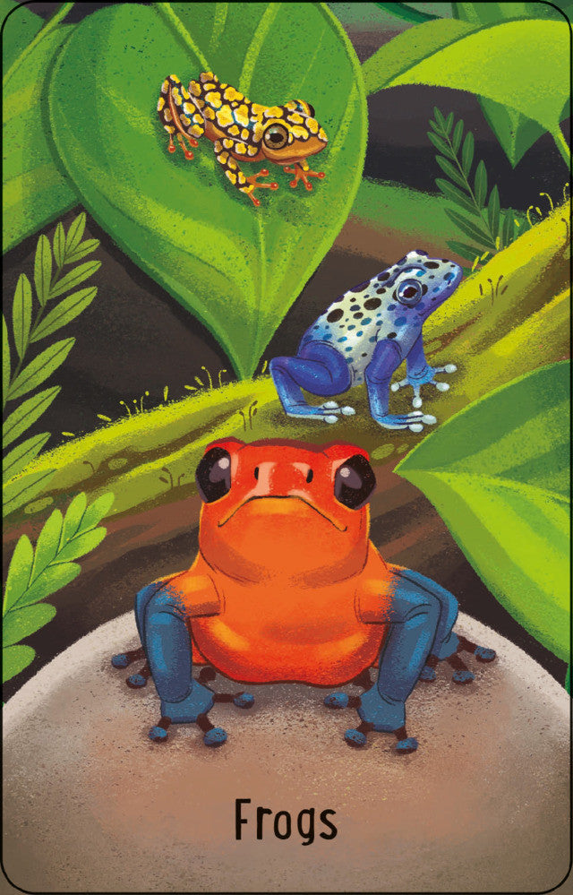 Usborne - Zoo Snap