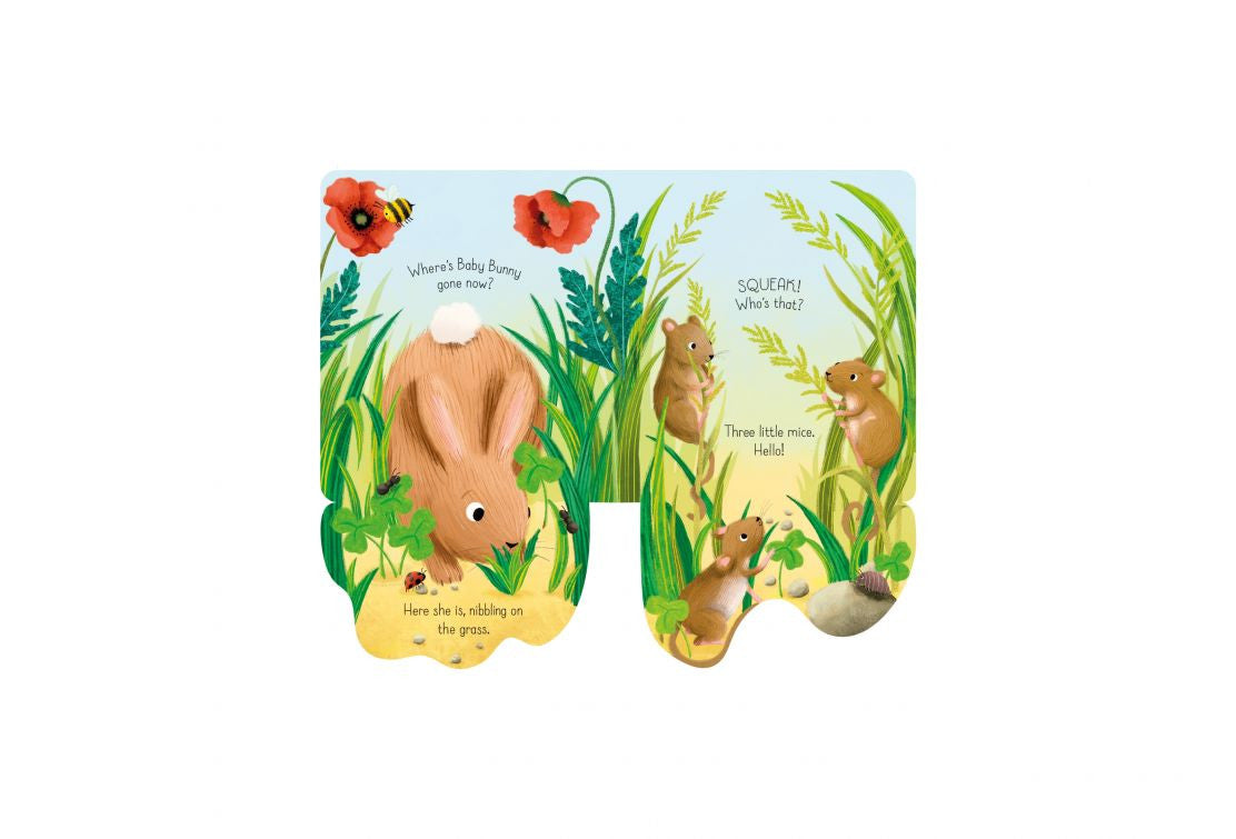 Usborne - Little Lift and Look Baby Bunny