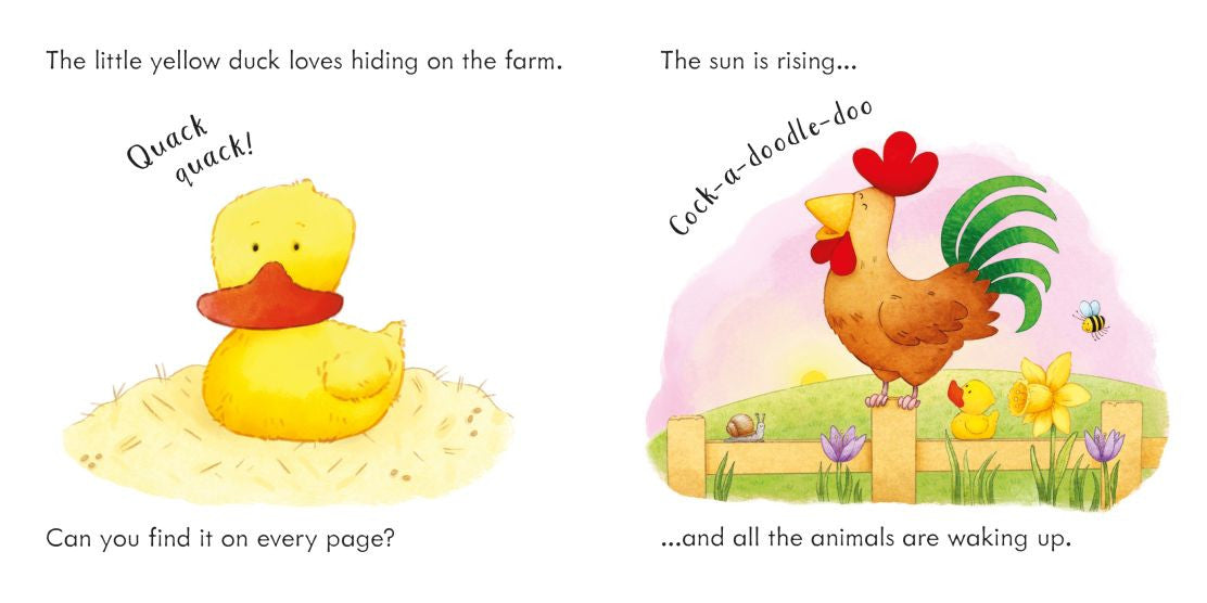 Usborne - Find the Duck on the Farm