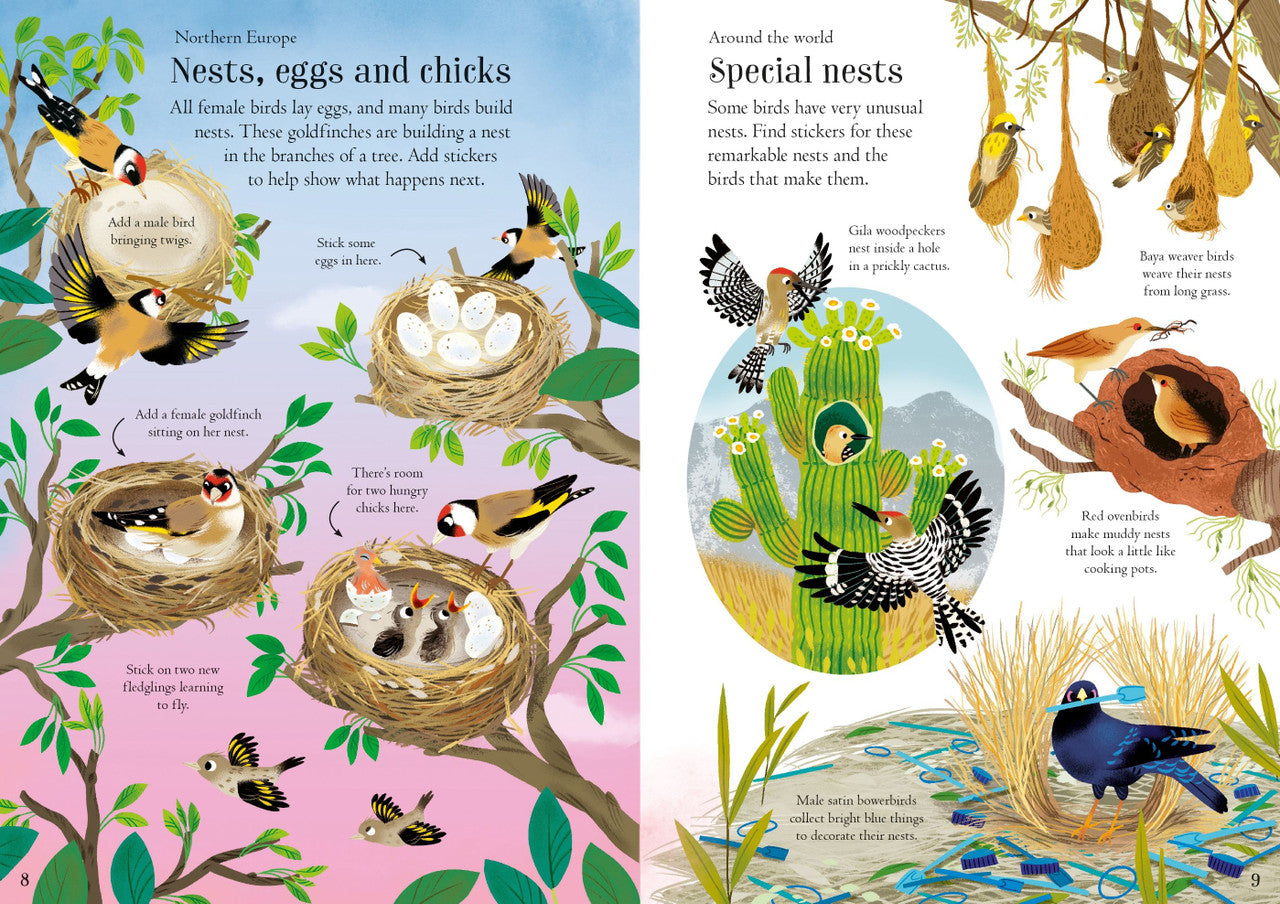 Usborne - Little First Stickers - Birds