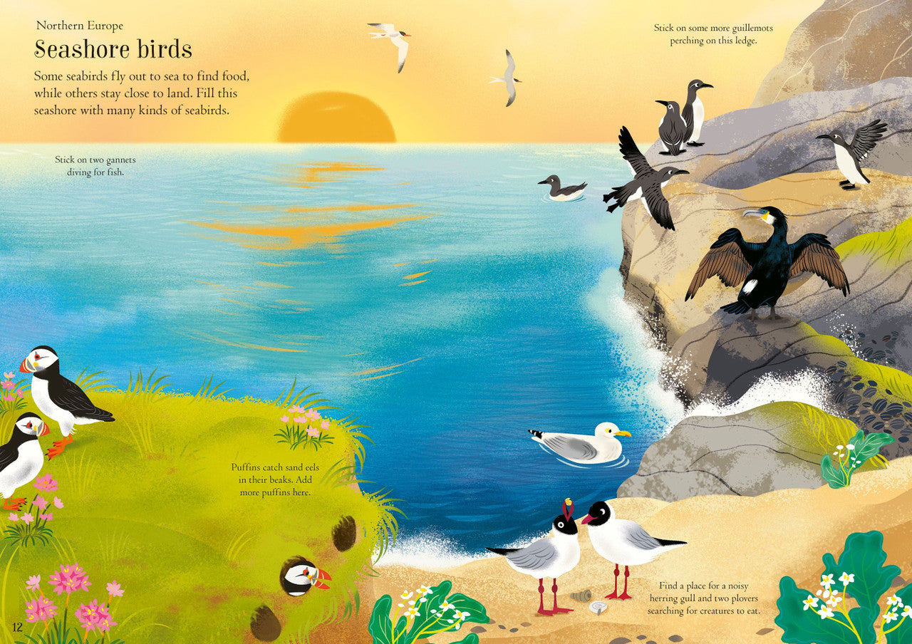 Usborne - Little First Stickers - Birds