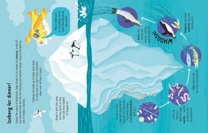Usborne - Lots of Things to Know About Seas and Oceans
