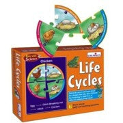 Creative's - Life Cycles