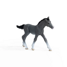 Schleich Horses - Trakehner Foal 13944