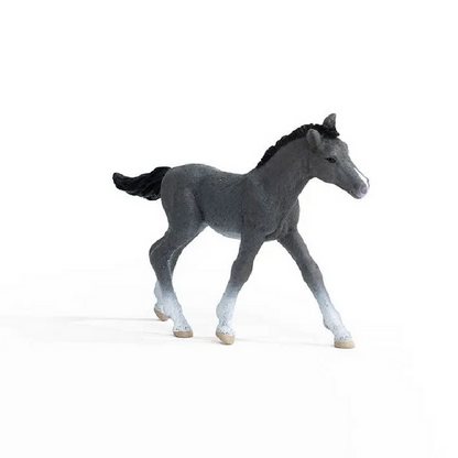 Schleich Horses - Trakehner Foal 13944