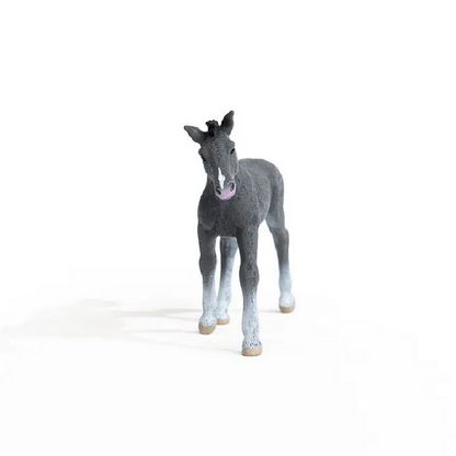 Schleich Horses - Trakehner Foal 13944