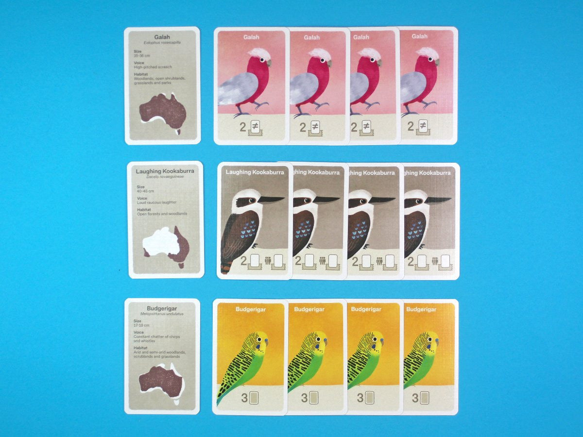 Busy Beaks