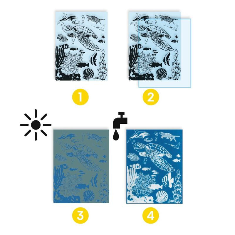 Djeco - Cyanotype Ultramarine Workshop Art Kit