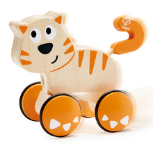 Hape - Dante Push & Go