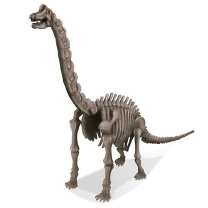 4M - Dig A Dinosaur - Brachiosaurus