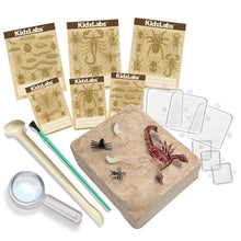 4M - KidzLabs Creepy Crawly Digging Kit