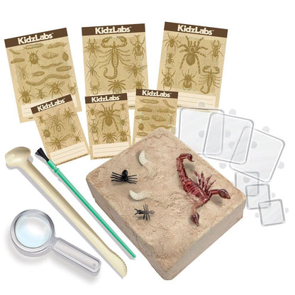4M - KidzLabs Creepy Crawly Digging Kit