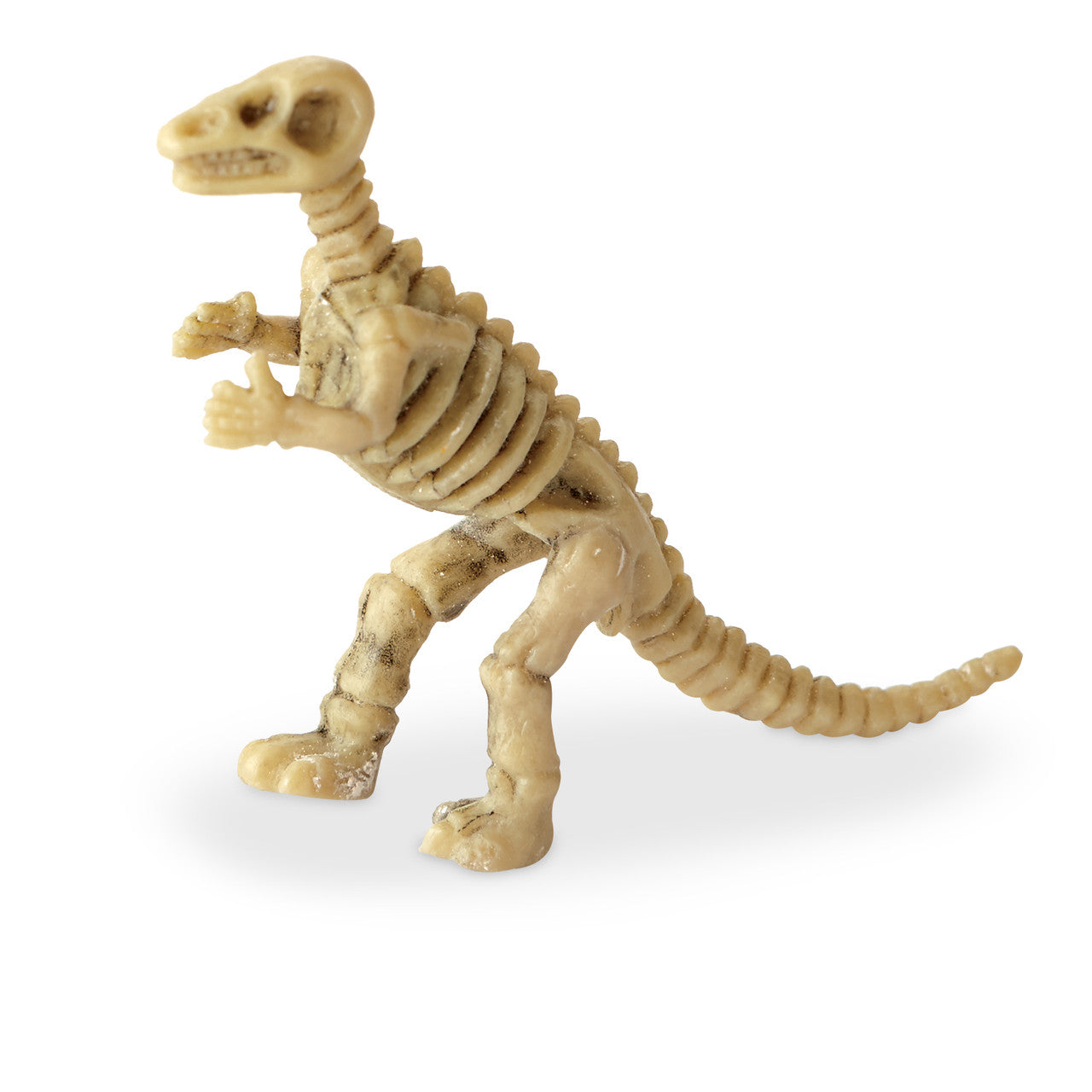 Dig It Up! Dinosaur Skeleton