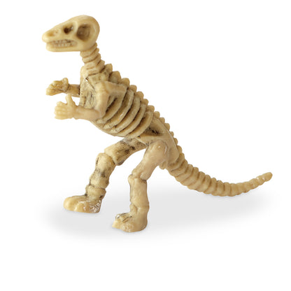 Dig It Up! Dinosaur Skeleton