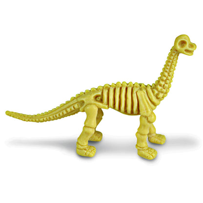 Dig It Up! Dinosaur Skeleton