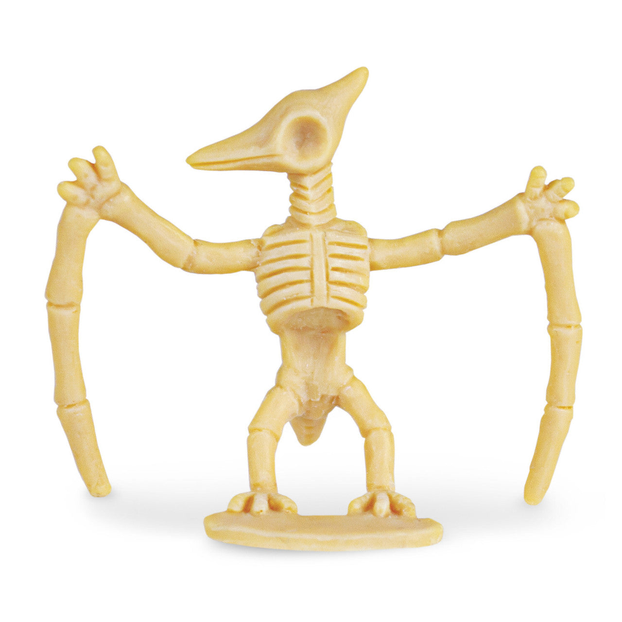 Dig It Up! Dinosaur Skeleton