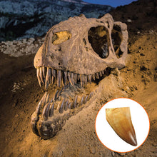 National Geographic - Dinosaur Dig Kit