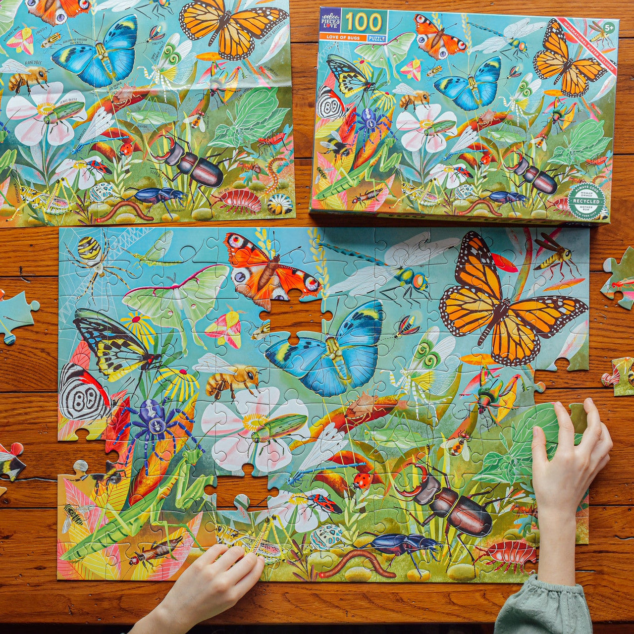 eeBoo 100pc - Love of Bugs Puzzle