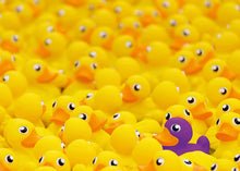 Ravensburger 1000pc - Rubber Ducks Challenge Puzzle