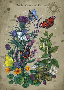 Ravensburger 1000pc - Lifecycle Butterfly
