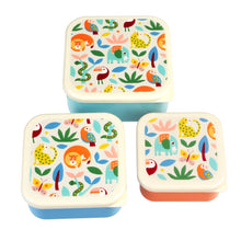Rex London - Snack Boxes - Wild Wonders (Set of 3)