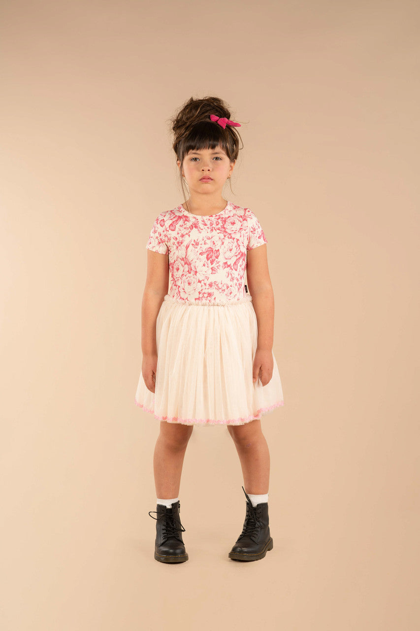 Rock Your Baby - Floral Toile Circus Dress
