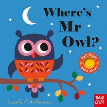 Where’s Mr Owl? Board Book