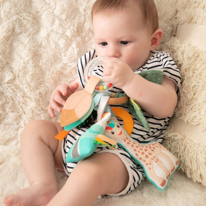 Sophie The Giraffe - Activity Ring