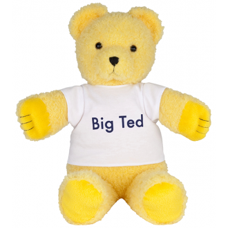 Play School Big Ted Plush Toy 40cm