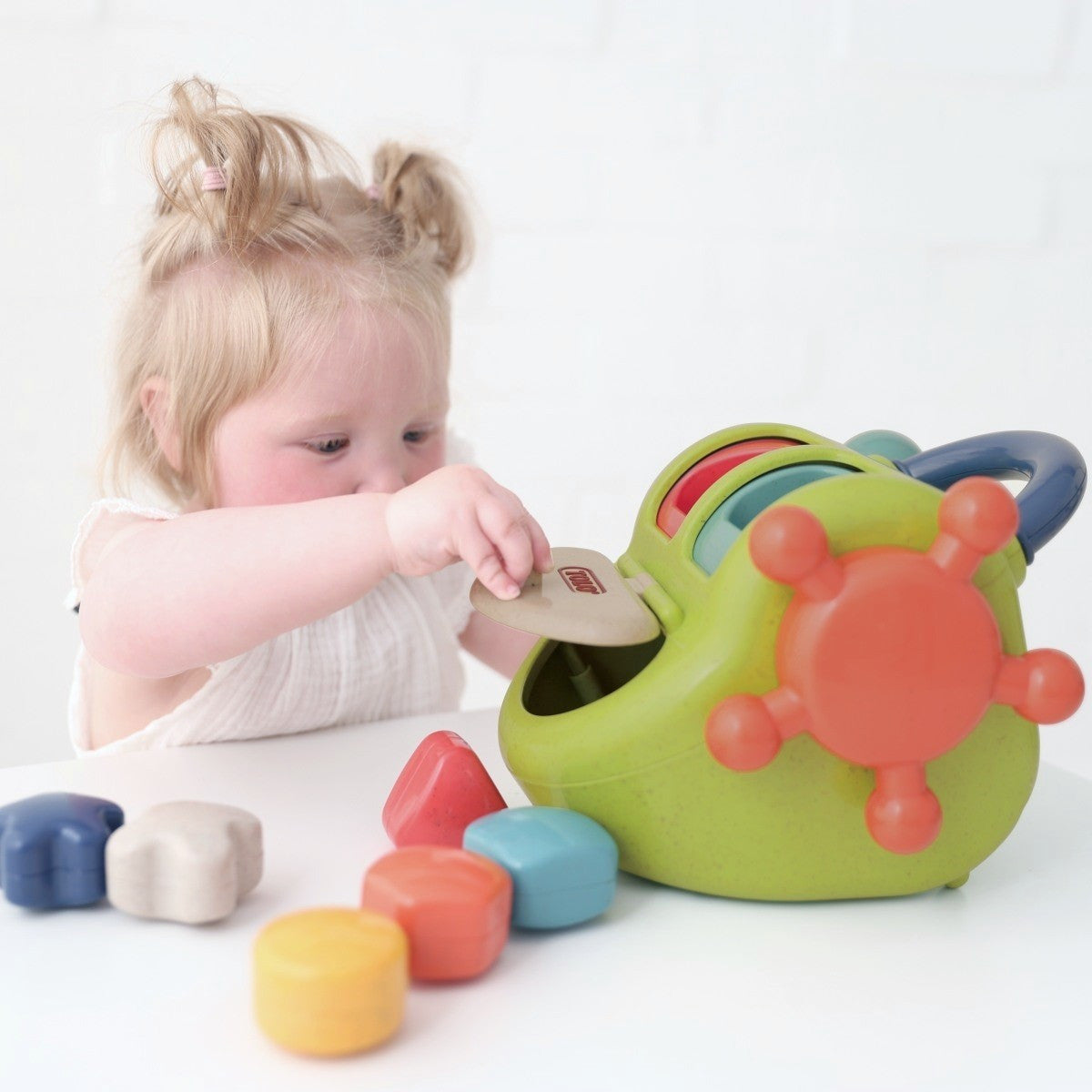 Tolo - Bio Activity Shape Box