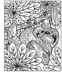 Usborne - Rainforest Magic Painting Book