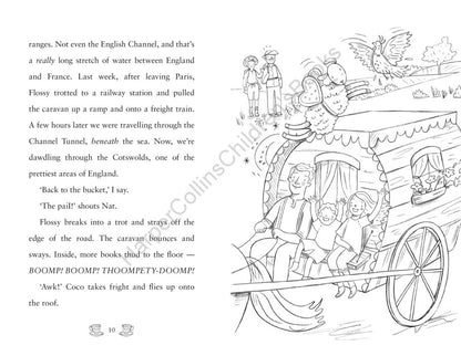 The Travelling Bookshop (4) - Mim and the Disastrous Dog Show