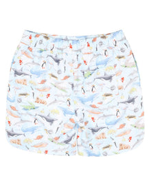 Minihaha - Marco Print Boardshorts