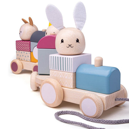 Bigjigs - Activity Pull Along Train