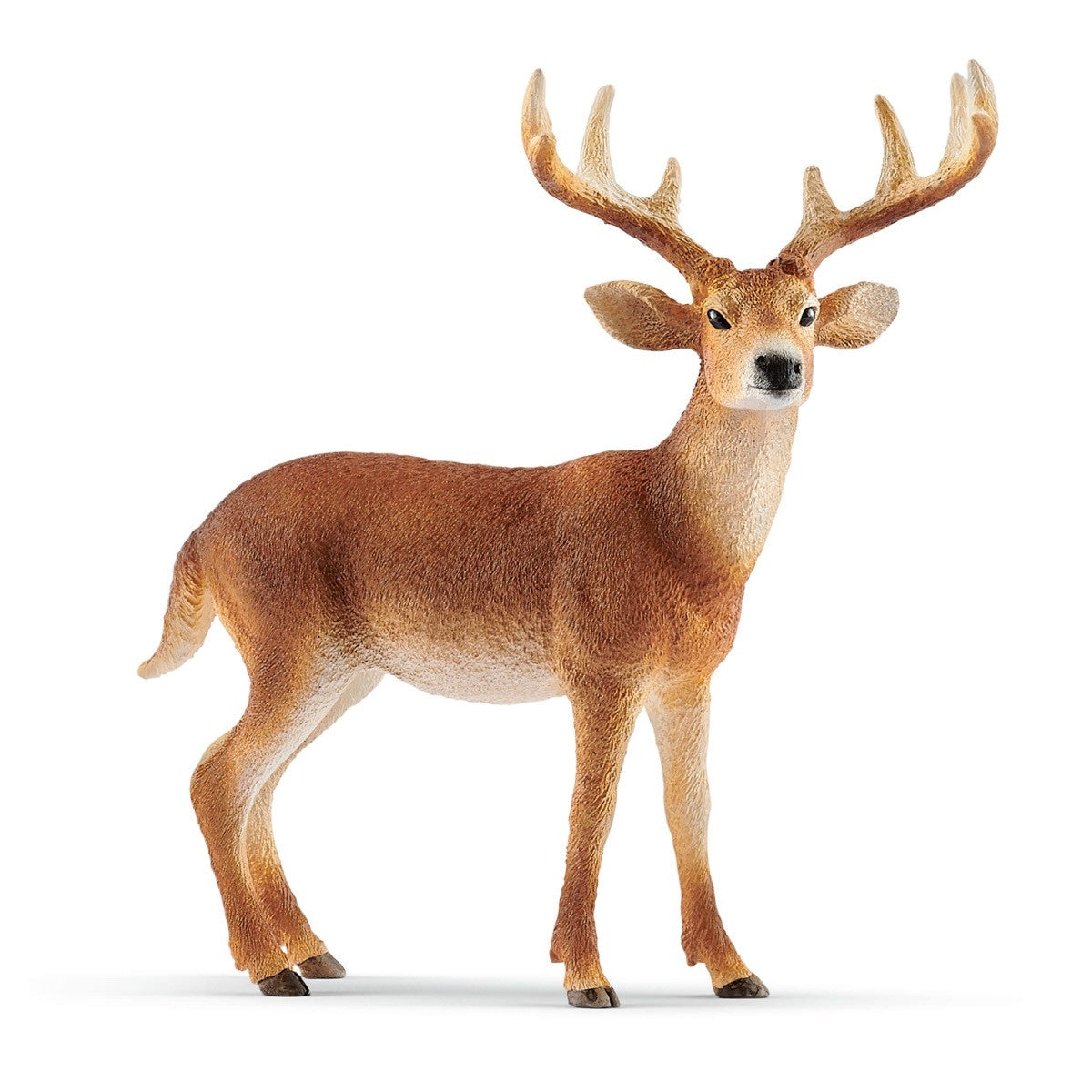 Schleich Wild Life - White-tailed Buck 14818