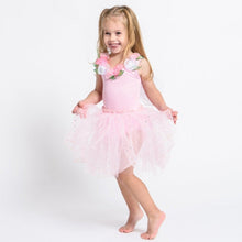 Fairy Girls - Fairy Dust Dress Light Pink (Roses)