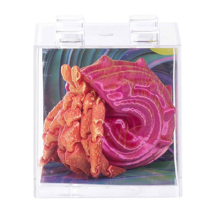 Discovery Zone - 3D Sensory Sea Life - Hermit Crab