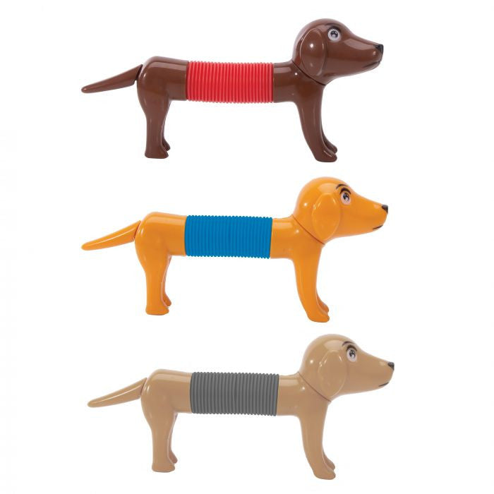 IS GIFT - Springy Sausage Dogs (Assorted)