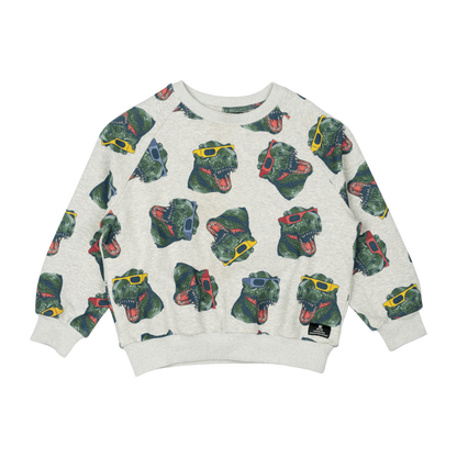 Shady Sweatshirt - Teen