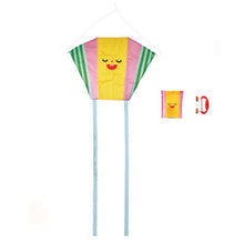 Kikkerland - Kidoki Funny Faces Pocket Kite (assorted)