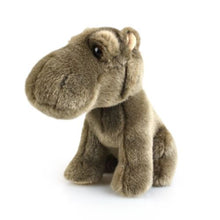 Korimco Lil Friends - Hippo Plush 18cm