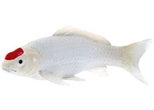 Mojo - Koi Carp - Tancho Koi Figurine
