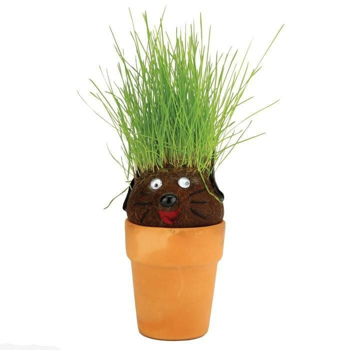 Mrs Green - Pot Head