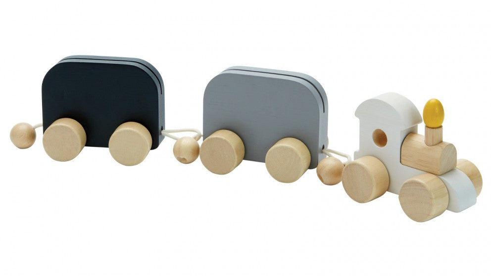 PlanToys - Celebration Train