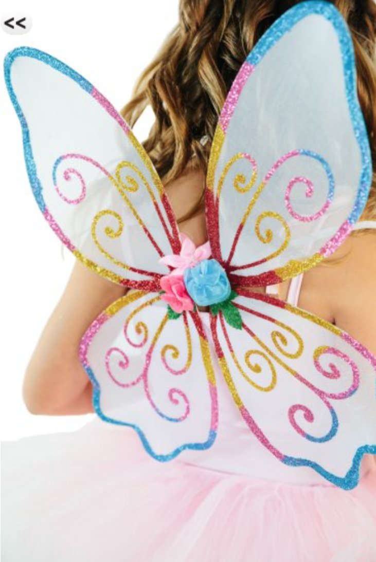 Fairy Girls - Blossom Wings Double Rainbow